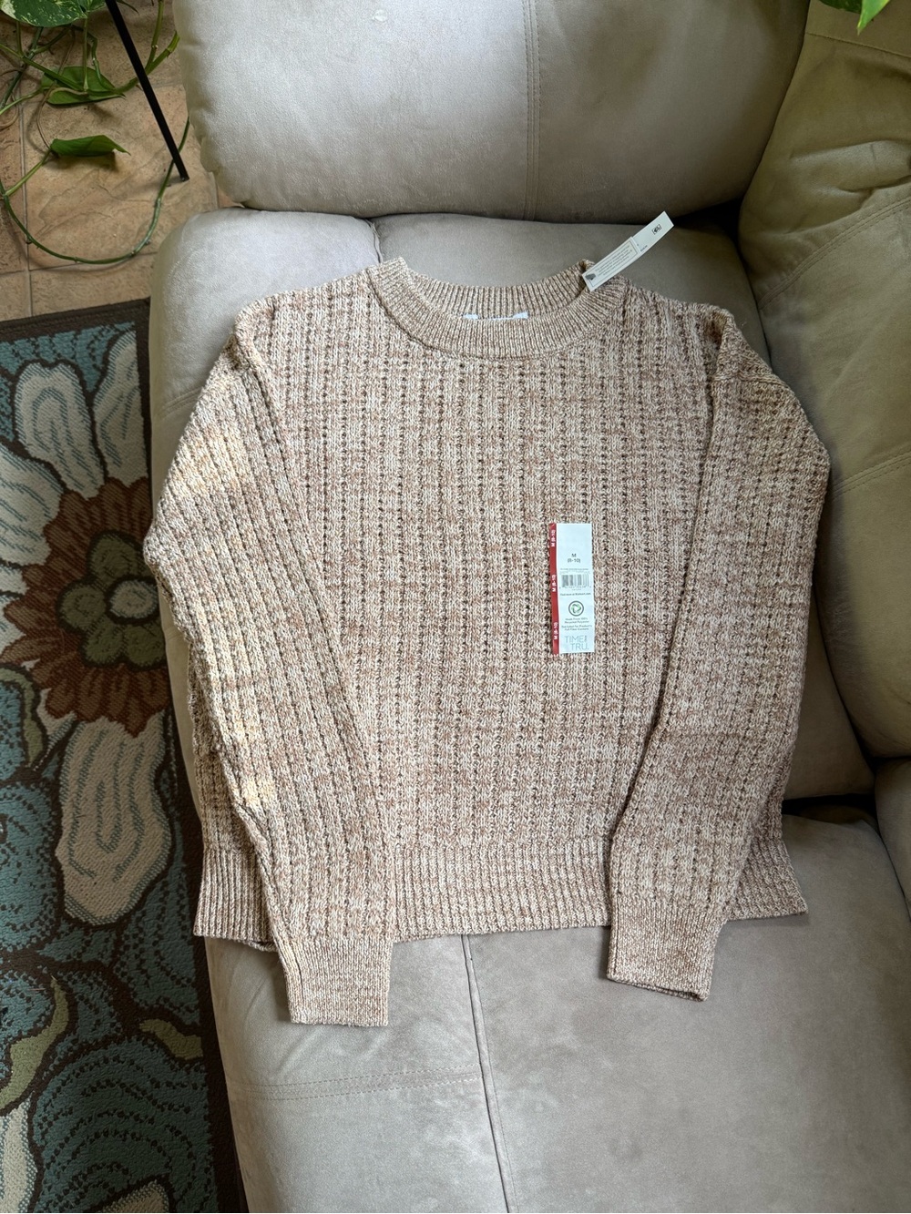 Time and Tru Chunky Crewneck Sweater in Heathered Beige